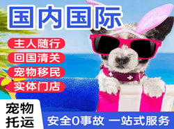 忻州五台山空运公司国际宠物托运 【国